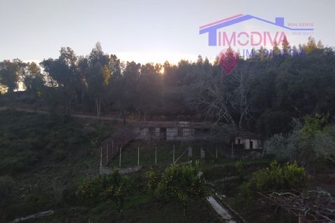 Villa a Tarouca, Viseu, Tarouca - € 80.000 | Ref: JF89/0122 - foto 31