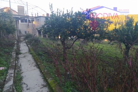 Villa a Tarouca, Viseu, Tarouca - € 80.000 | Ref: JF89/0122 - foto 38