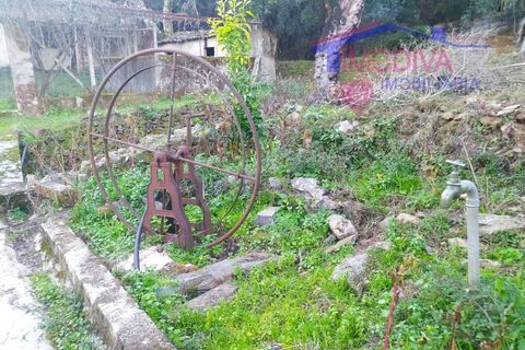 Villa a Tarouca, Viseu, Tarouca - € 80.000 | Ref: JF89/0122 - foto 40