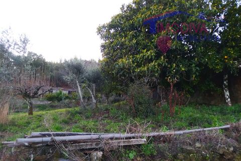 Villa a Tarouca, Viseu, Tarouca - € 80.000 | Ref: JF89/0122 - foto 41