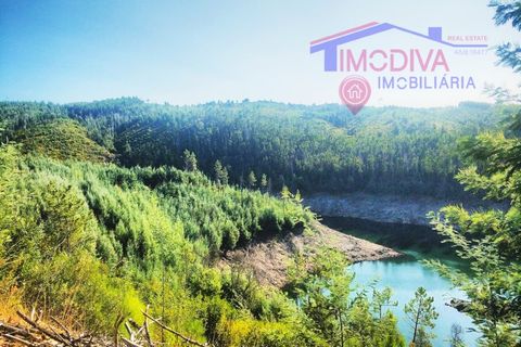 Terra a Tarouca, Viseu, Tarouca - € 55.000 | Ref: SQ28/0821 - foto 2