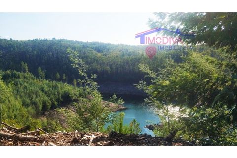 Terra a Tarouca, Viseu, Tarouca - € 55.000 | Ref: SQ28/0821 - foto 3