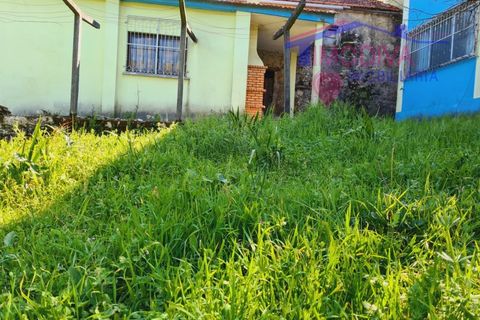Villa i Ansiao, Leiria, Ansiao - € 264.650 | Ref: Casa 19 - foto 7