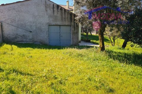 Villa i Ansiao, Leiria, Ansiao - € 264.650 | Ref: Casa 19 - foto 24