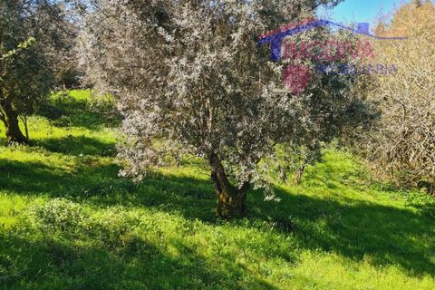 Villa i Ansiao, Leiria, Ansiao - € 264.650 | Ref: Casa 19 - foto 27