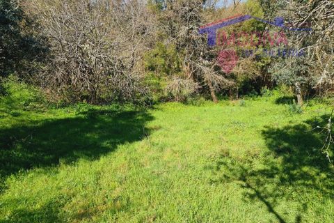 Villa i Ansiao, Leiria, Ansiao - € 264.650 | Ref: Casa 19 - foto 25