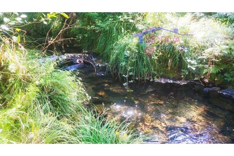 Terra a Tarouca, Viseu, Tarouca - € 45.000 | Ref: SQ29/0821 - foto 10