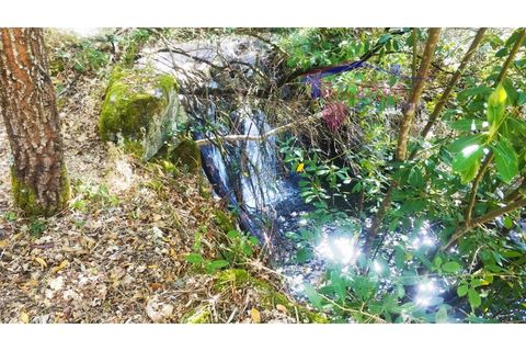Terra a Tarouca, Viseu, Tarouca - € 45.000 | Ref: SQ29/0821 - foto 2