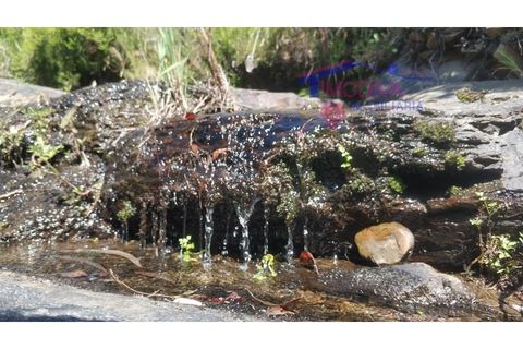 Terra a Tarouca, Viseu, Tarouca - € 45.000 | Ref: SQ29/0821 - foto 4