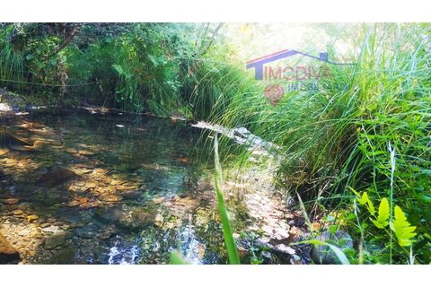 Terra a Tarouca, Viseu, Tarouca - € 45.000 | Ref: SQ29/0821 - foto 5
