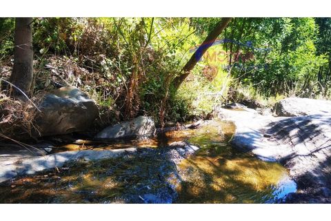 Terra a Tarouca, Viseu, Tarouca - € 45.000 | Ref: SQ29/0821 - foto 7