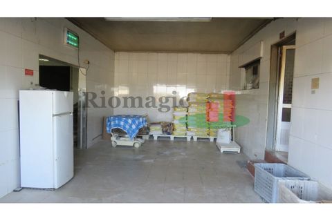 Villa i Rio Maior, Santarem, Rio Maior - € 390.000 | Ref: 754.9 - foto 37