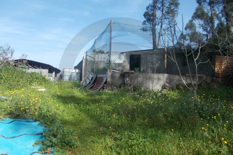 Helårsgrund i Leiria, Leiria, Leiria - € 75.000 | Ref: C0269-01267 - foto 2