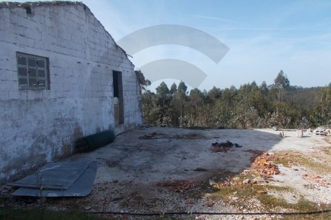 Helårsgrund i Leiria, Leiria, Leiria - € 75.000 | Ref: C0269-01267 - foto 3