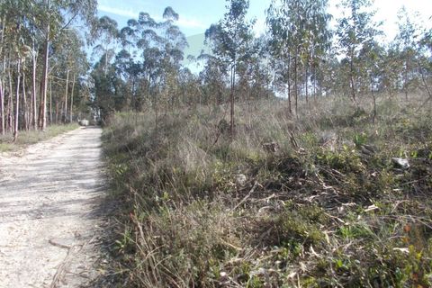 Helårsgrund i Leiria, Leiria, Leiria - € 75.000 | Ref: C0269-01267 - foto 5