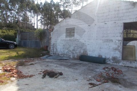 Helårsgrund i Leiria, Leiria, Leiria - € 75.000 | Ref: C0269-01267 - foto 6