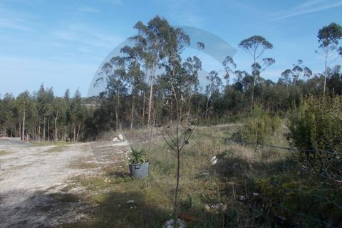 Helårsgrund i Leiria, Leiria, Leiria - € 75.000 | Ref: C0269-01267 - foto 7