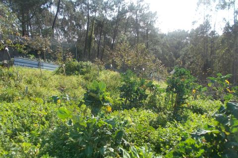 Helårsgrund i Leiria, Leiria, Leiria - € 75.000 | Ref: C0269-01267 - foto 8