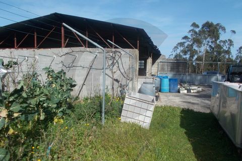 Helårsgrund i Leiria, Leiria, Leiria - € 75.000 | Ref: C0269-01267 - foto 1