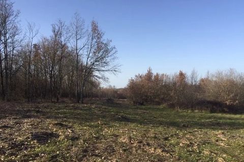 Terra a Auterive, Haute-Garonne, Auterive - € 58.900 | Ref: 6912688 - foto 3