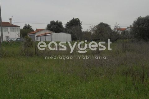 Helårsgrund i Tomar, Santarem, Tomar - € 49.000 | Ref: TM88002 - foto 2