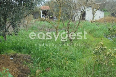 Helårsgrund i Tomar, Santarem, Tomar - € 49.000 | Ref: TM88002 - foto 3
