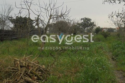 Helårsgrund i Tomar, Santarem, Tomar - € 49.000 | Ref: TM88002 - foto 4
