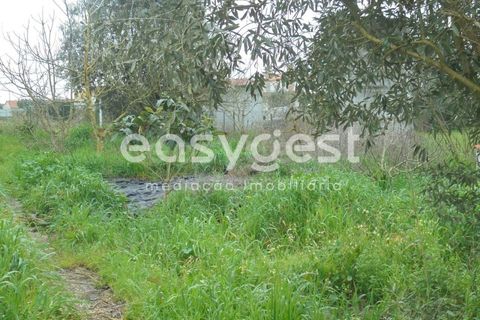 Helårsgrund i Tomar, Santarem, Tomar - € 49.000 | Ref: TM88002 - foto 5