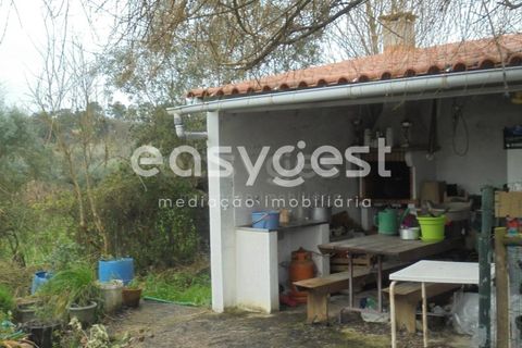 Helårsgrund i Tomar, Santarem, Tomar - € 49.000 | Ref: TM88002 - foto 6