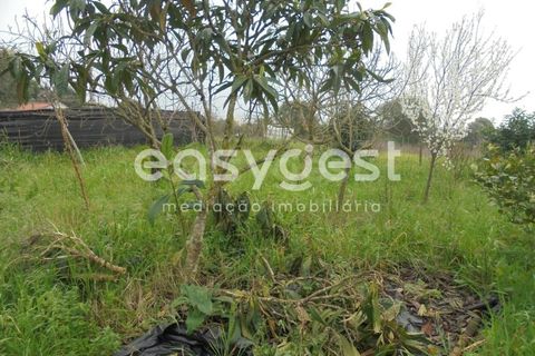 Helårsgrund i Tomar, Santarem, Tomar - € 49.000 | Ref: TM88002 - foto 9