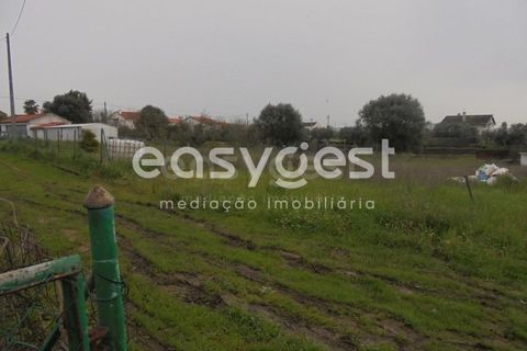 Helårsgrund i Tomar, Santarem, Tomar - € 49.000 | Ref: TM88002 - foto 10