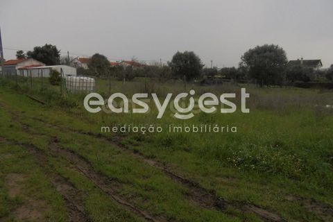 Helårsgrund i Tomar, Santarem, Tomar - € 49.000 | Ref: TM88002 - foto 11