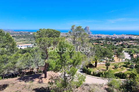 Helårsgrund i Calpe, Alicante, Calpe - € 595.000 | Ref: P46 - foto 3