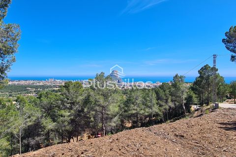 Helårsgrund i Calpe, Alicante, Calpe - € 595.000 | Ref: P46 - foto 5