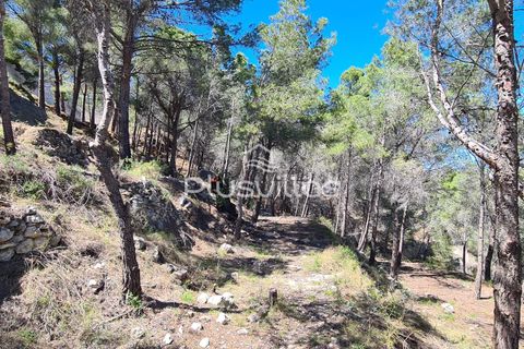 Helårsgrund i Calpe, Alicante, Calpe - € 595.000 | Ref: P46 - foto 8