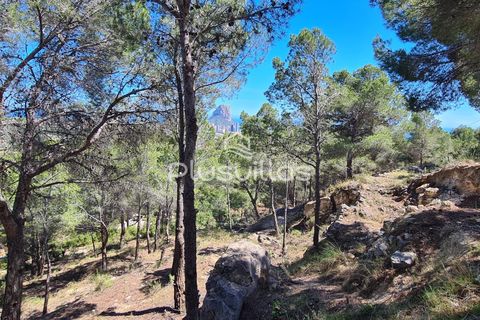 Helårsgrund i Calpe, Alicante, Calpe - € 1.345.000 | Ref: P47 - foto 9