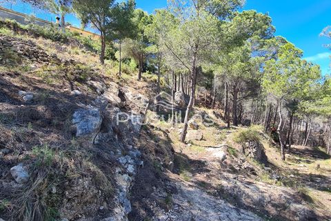 Helårsgrund i Calpe, Alicante, Calpe - € 1.345.000 | Ref: P47 - foto 10