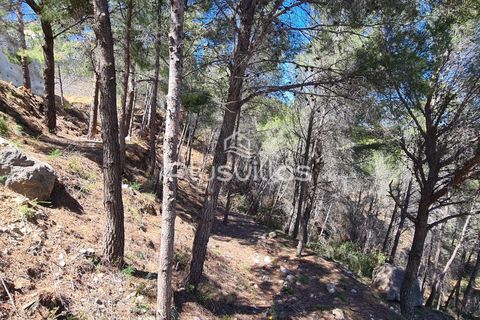 Helårsgrund i Calpe, Alicante, Calpe - € 1.345.000 | Ref: P47 - foto 12