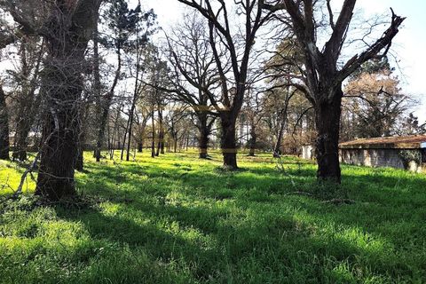 Helårsgrund i Moncao, Viana do Castelo, Moncao - € 170.000 | Ref: REF100 - foto 6