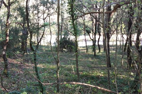 Terra a Roquedur, Gard, Roquedur - € 29.000 | Ref: 432-03 - foto 2