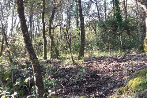 Terra a Roquedur, Gard, Roquedur - € 29.000 | Ref: 432-03 - foto 3