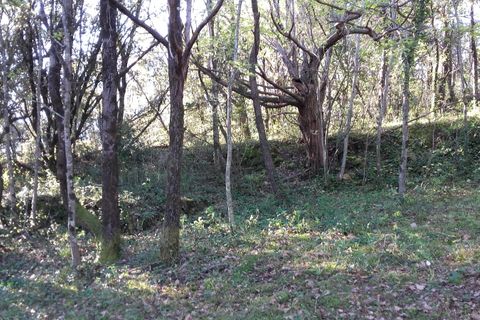Terra a Roquedur, Gard, Roquedur - € 29.000 | Ref: 432-03 - foto 4