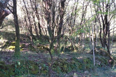 Terra a Roquedur, Gard, Roquedur - € 29.000 | Ref: 432-03 - foto 5