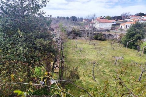 Villa i Valtorno e Mourao, Braganca, Valtorno e Mourao - € 390.000 | Ref: VRCM803 - foto 43