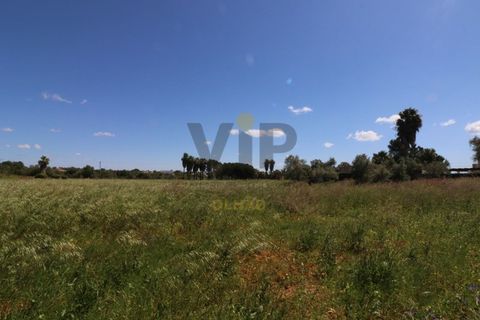 Helårsgrund i Moncarapacho, Faro, Moncarapacho - € 635.000 | Ref: VTO211 - foto 2