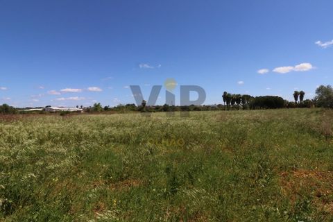 Helårsgrund i Moncarapacho, Faro, Moncarapacho - € 635.000 | Ref: VTO211 - foto 3