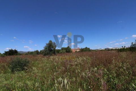 Helårsgrund i Moncarapacho, Faro, Moncarapacho - € 635.000 | Ref: VTO211 - foto 6