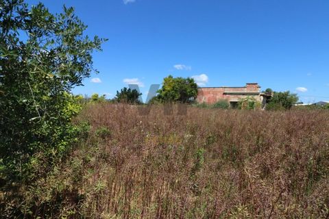 Helårsgrund i Moncarapacho, Faro, Moncarapacho - € 635.000 | Ref: VTO211 - foto 8