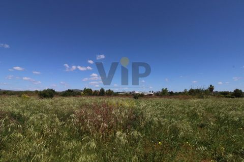 Helårsgrund i Moncarapacho, Faro, Moncarapacho - € 635.000 | Ref: VTO211 - foto 10