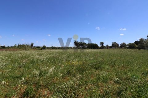 Helårsgrund i Moncarapacho, Faro, Moncarapacho - € 635.000 | Ref: VTO211 - foto 11